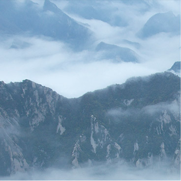 自动充值系统的轰炸电话